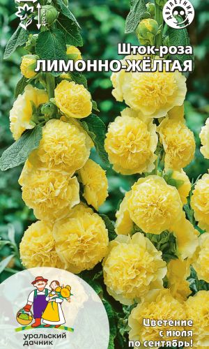 Шток-роза ЛИМОННО-ЖЁЛТАЯ