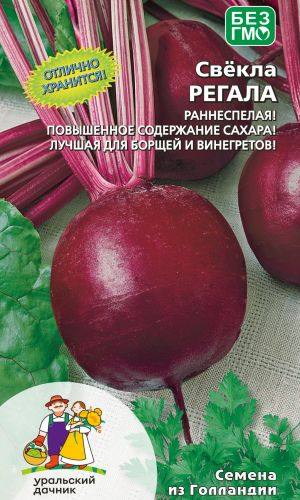 Свёкла РЕГАЛА &mdash; Отлично хранится! Раннеспелая! Повышенное содержание сахаров! Лучшая для борщей и винегретов!