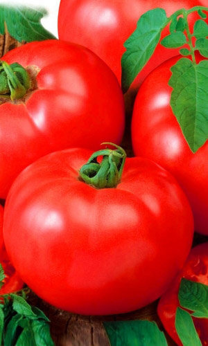 Томат АЛТАЙСКИЙ КРАСНЫЙ