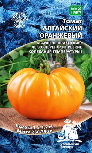 Томат АЛТАЙСКИЙ ОРАНЖЕВЫЙ &mdash; Массой до 500г! Крайне неприхотлив! Легко переносит резкие колебания температуры!