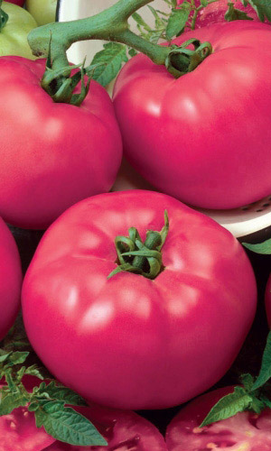 Томат БРЕНДИ РОЗОВЫЙ &mdash; Необычайно вкусен!