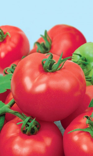 Томат ДЕБЮТАНТКА F1