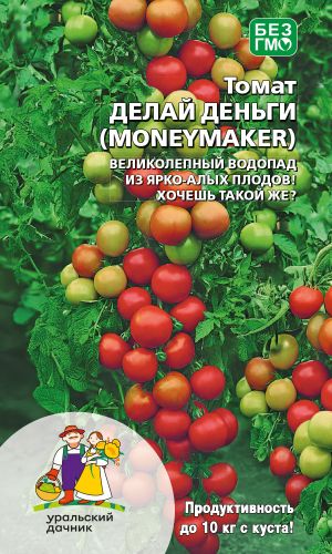 Томат ДЕЛАЙ ДЕНЬГИ &mdash; Для тех, кто хочет зарабатывать на своих участках! Обилие плодов на кусту! Для ранних продаж!