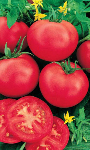 Томат ДУБОК