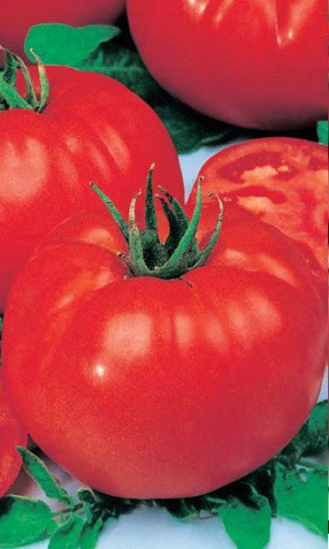 Томат ЭФФЕКТ