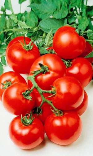 Томат КРАСНАЯ ЗВЕЗДА F1
