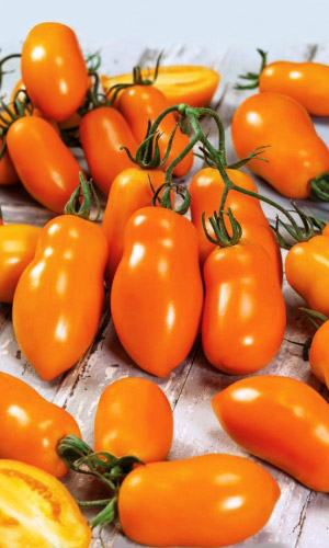 Томат ЛИСЬИ УШКИ