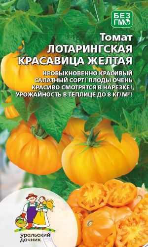 Томат ЛОТАРИНГСКАЯ КРАСАВИЦА ЖЁЛТАЯ &mdash; Восхитительный салатный сорт! До 8 кг с квадрата в теплице!