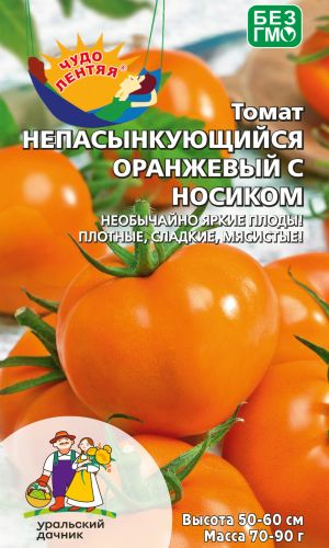 Томат НЕПАСЫНКУЮЩИЙСЯ ОРАНЖЕВЫЙ С НОСИКОМ &mdash; Необычайно яркие плоды! Плотные, сладкие, мясистые!