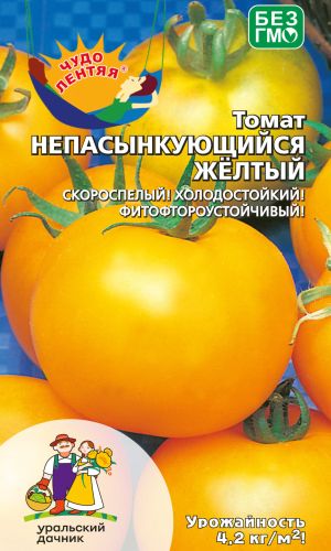 Томат НЕПАСЫНКУЮЩИЙСЯ ЖЁЛТЫЙ