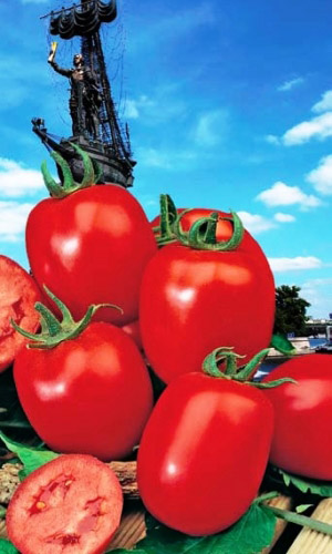 Томат ПЕТРОВСКИЙ &mdash; Идеален для засолки и консервирования! Шкурка в заготовках не трескается! Созревает дружно, кистями! Жаростойкий! Не болеет фитофторой!