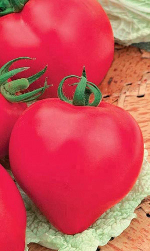 Томат РОЗОВОЕ СЕРДЦЕ &mdash; Изысканный вкус! Мякоть практически без семян! Плоды сладкие, сочные, мясистые!