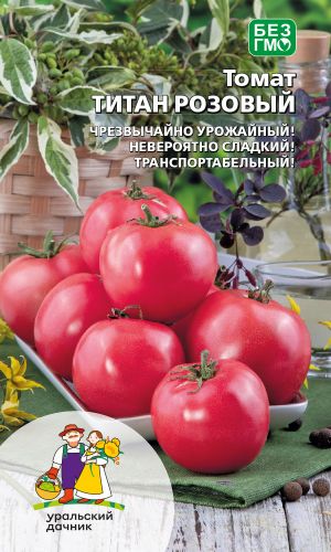 Томат ТИТАН РОЗОВЫЙ &mdash; Кусты крепкие, коренастые! Выносит перепады температур!