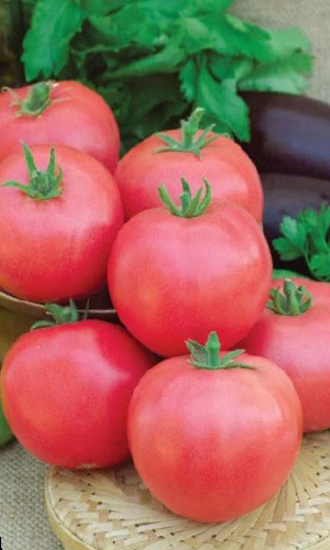 Томат УЛЬТРАСКОРОСПЕЛЫЙ РОЗОВЫЙ