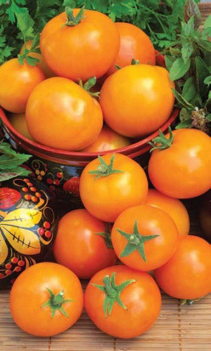 Томат ВИКИНГ &mdash; Не растрескивается! Мякоть нежная, сочная, сладкая! Сорт холодостойкий и устойчив к засухам!