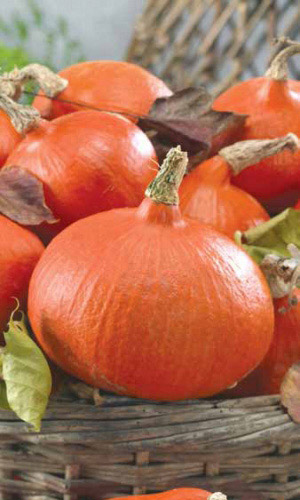 Тыква СЛАДКИЕ КАРАВАИ