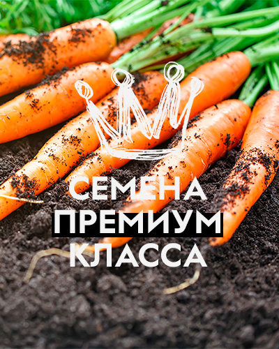 Семена премиум класса